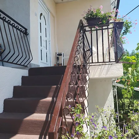 Апартаменты Zorka *