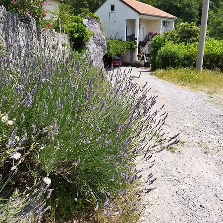 Zorka Apartamento