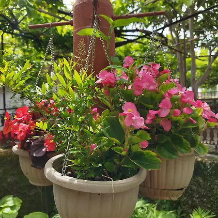 Apartamento Zorka