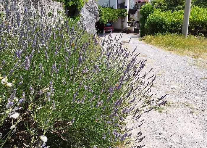 Zorka Apartamento