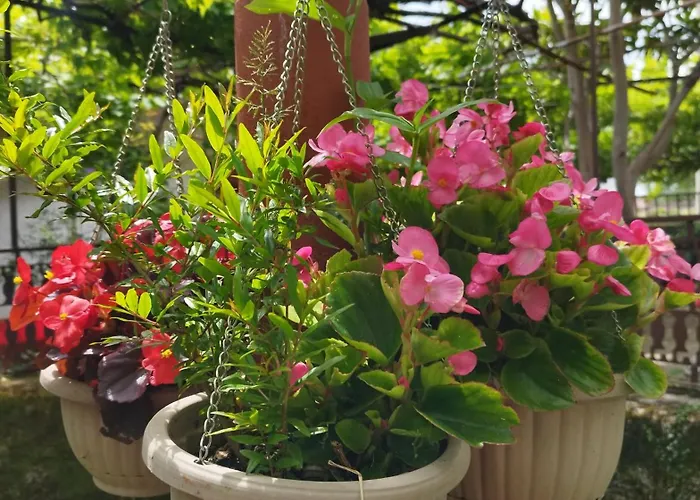 Apartamento Zorka